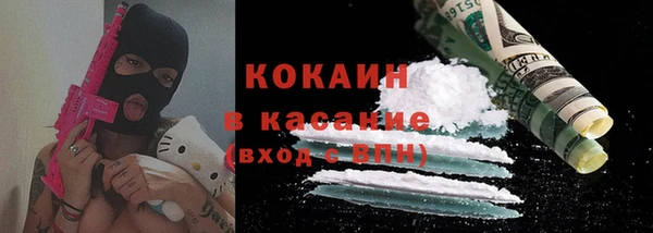 МДПВ Гусев