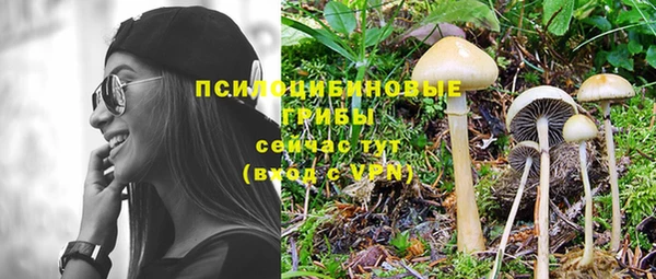 прущая мука Гусь-Хрустальный