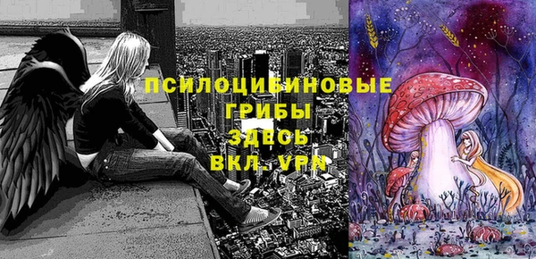МДПВ Гусев