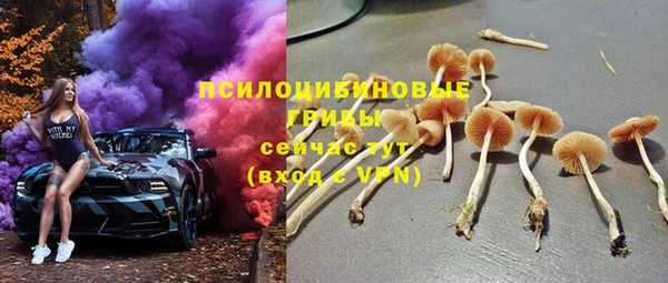 прущая мука Гусь-Хрустальный