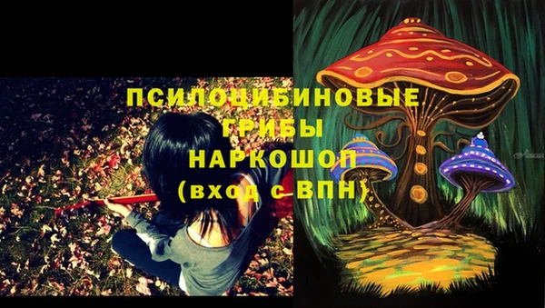 крисы Горнозаводск