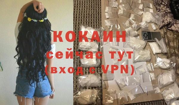 МДПВ Гусев